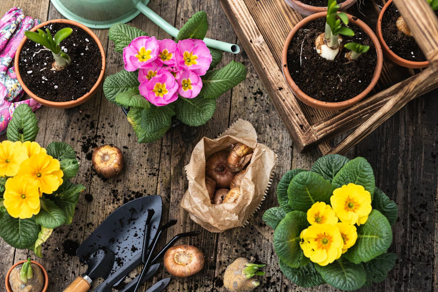 Gardening Products